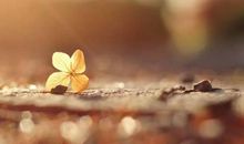 感悟人生的经典文章