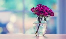 十句话送给晚上睡不着觉的人