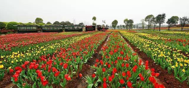 查慎行：从遵鹿向东站到Lux西