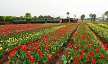 查慎行：自湘东驿遵陆至芦溪