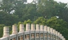 袁枚：山行杂咏