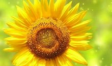 特别有哲理的句子：长的漂亮是优势，活的漂亮才是本事