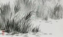 诗经：野有蔓草