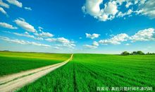 田野小路优美句子