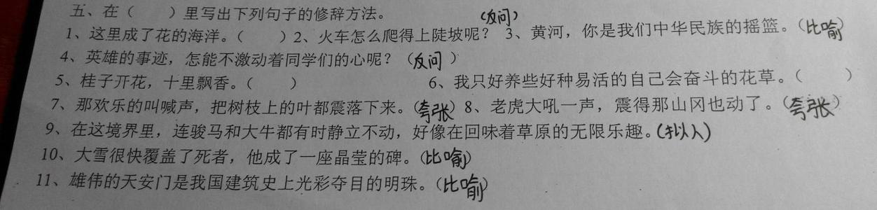 人与动物比较的句子