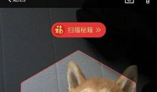 你能再坚持一会吗？