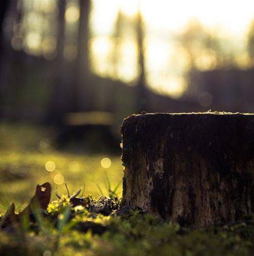 所有使您变得更好的选择，过程将不会很轻松