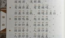 诗经：匏有苦叶