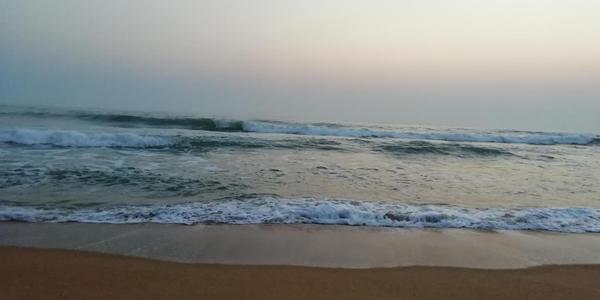 诗经：鹌鹑的奔跑