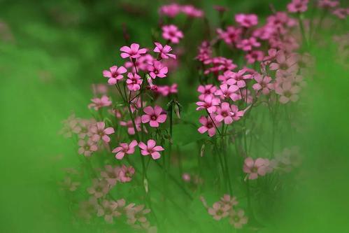 没有退缩是最好的出路
