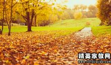 描写秋天风景的优美句子
