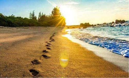 离得太近是一场灾难