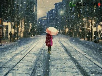 QQ空间中的感性句子