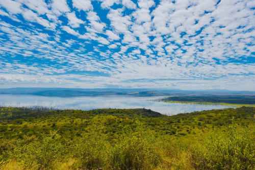 关于“走出非洲”的思考