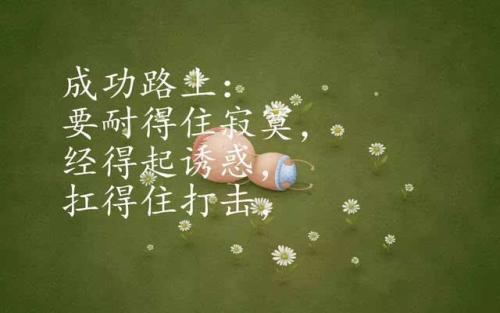 如何营造良好的心情并保持乐观与和平的态度