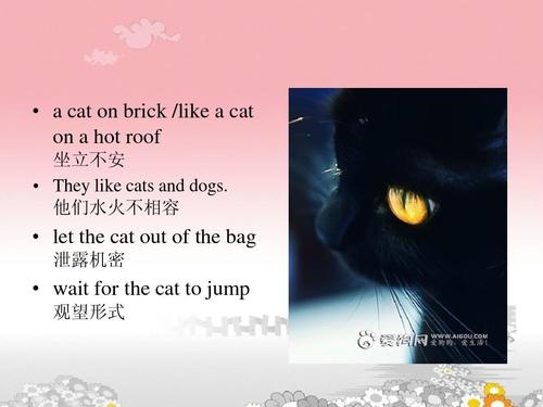 苏州话中的绕口令