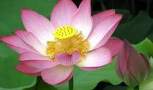 那些成功的人，在于做好了选择并懂得做减法