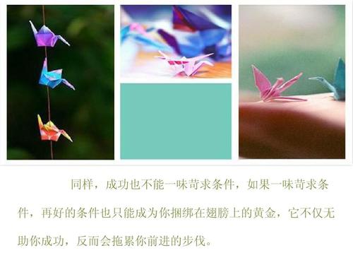 生活不需要太多条件