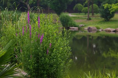 李长起：与村民通宵达旦