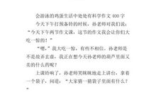 会游泳的鸡蛋作文