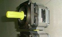 高启：寻胡隐君