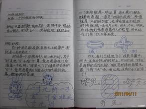 初中作文中好的句子节选