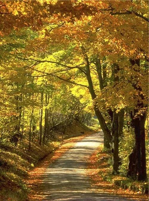 刘长青：秋天登武功寺