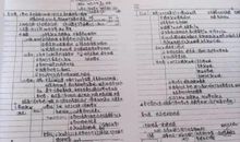 高考状元班：蘸着阳光写童话