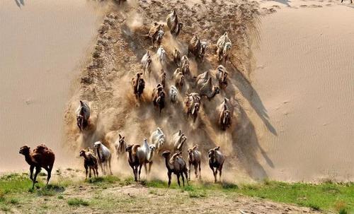 震惊人们的三个真实故事