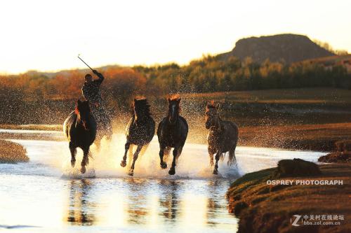 刘寅：山房·马蹄踩水与混沌明霞
