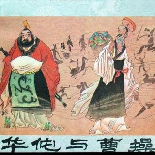 关于曹操杀鲁波