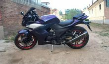 变色龙续写300字