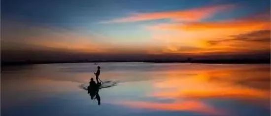 真正的主人是沉默的轮渡者