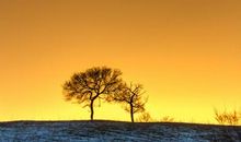 形容冬天暖和的句子