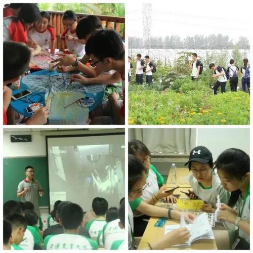 我的小学中国梦演说