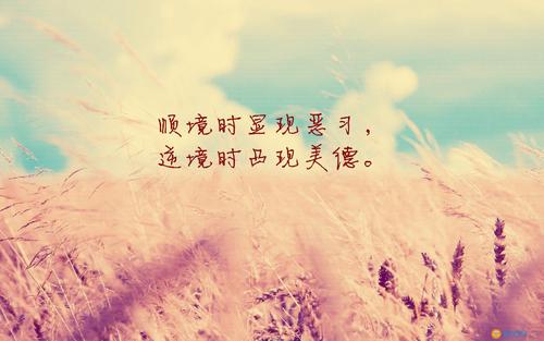 关于青年斗争的名言