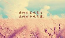 关于青春奋斗的名言