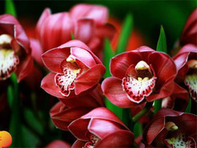 心烦意乱时，记住这三个句子