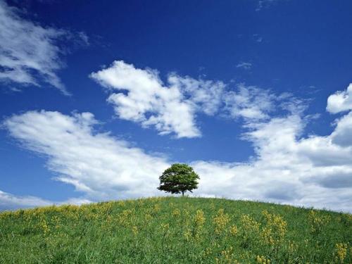 让我的爱人幸福的句子当我的爱人生气时如何使她幸福2