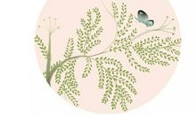 戴敏：初夏游张园