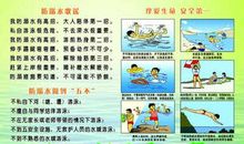 开讲啦海清演讲稿：人生路，我们都是新手