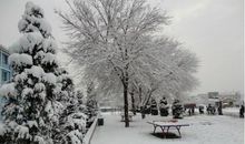 关于冬天的片段