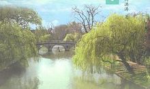 徐志摩：与田野相伴