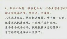 描写梅花的好词佳句