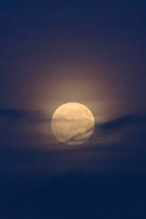 徐志摩：印度洋的秋天思想