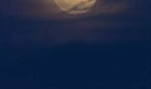 徐志摩：印度洋上的秋思