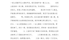 母爱细节描写的片段