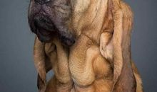 非常犀利的经典语录