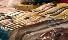 高考黑马：后进生在一个月涨100分