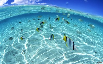 描述快乐英语句子表达情绪的句子2